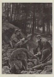 Berenjagers in Montana, Overwinnaars en Verliezers